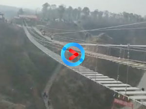 焦作步步惊心视频