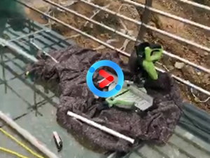 南阳熏衣草庄园走廊