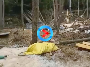 怀化大峡谷轨道滑丛林穿越施工