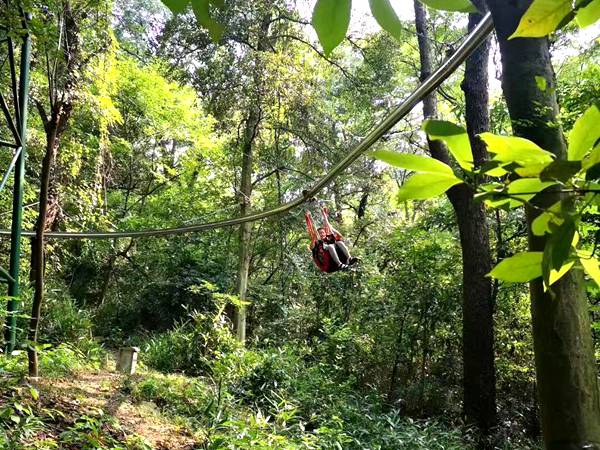 丛林轨道滑索