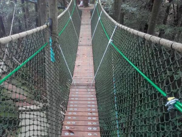 丛林穿越游乐项目