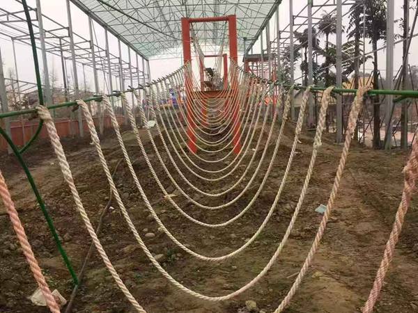 丛林穿越游乐项目